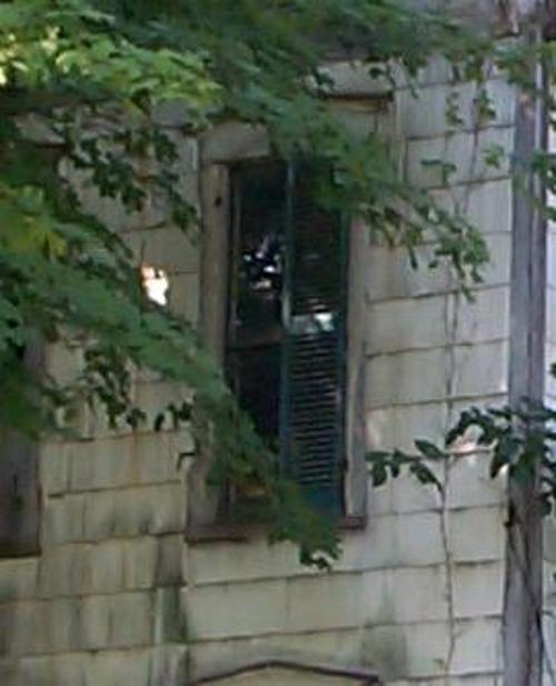 ORBS Original Photo